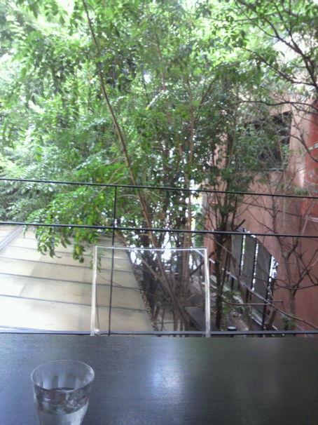 P1000517.JPGのサムネール画像