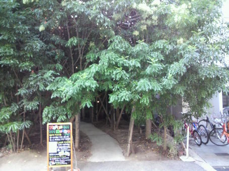 P1000520.JPGのサムネール画像