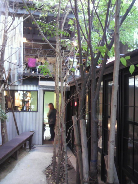 P1000521.JPGのサムネール画像のサムネール画像