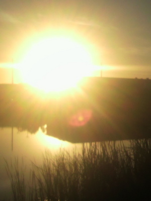 P1000364.JPGのサムネール画像