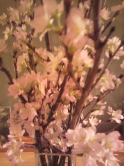 2011030220450000.jpgのサムネール画像