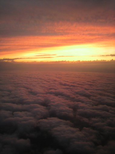 P1001215.JPGのサムネール画像