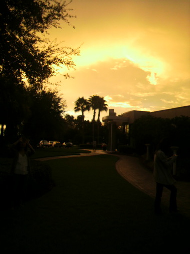 P1001300.JPGのサムネール画像