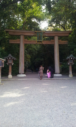 2012-11-13 10.56.26.jpg