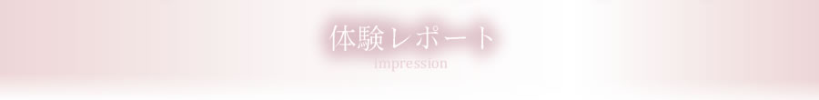 体験レポート